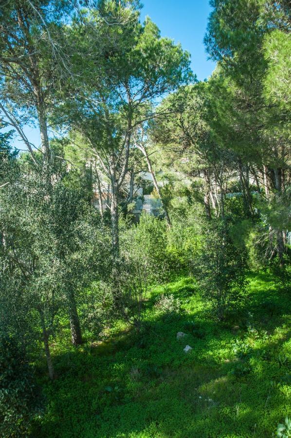 Caper Villa Santa Caterina  Екстер'єр фото